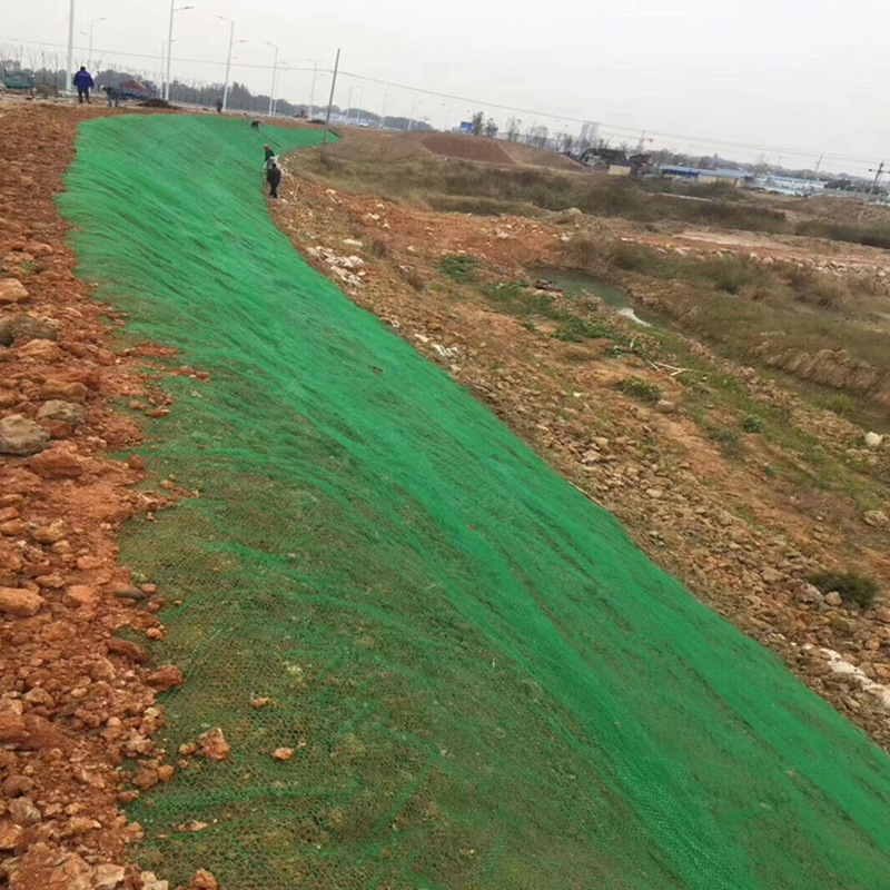 工地网护坡公路绿化防尘草坪植被网绿色覆盖园林护坡三维植被网