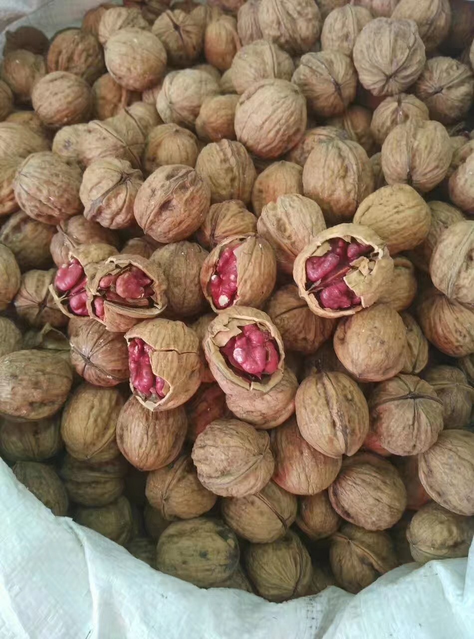 包邮】新疆特产2019红衣红皮红心核桃办公室零食现货现发量大从优