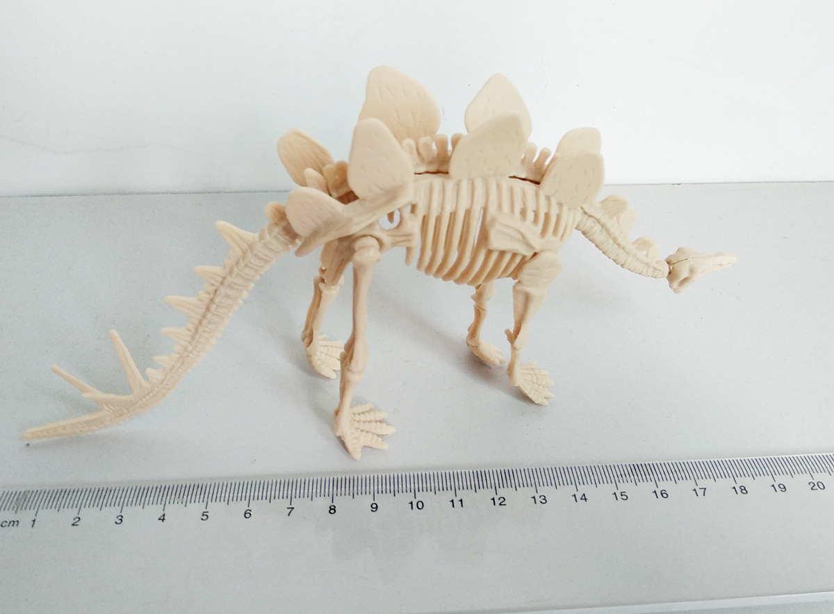 21cm恐龙骨架 拼装考古五款恐龙骨架 鳄鱼化石 剑龙骨架 雷龙化石