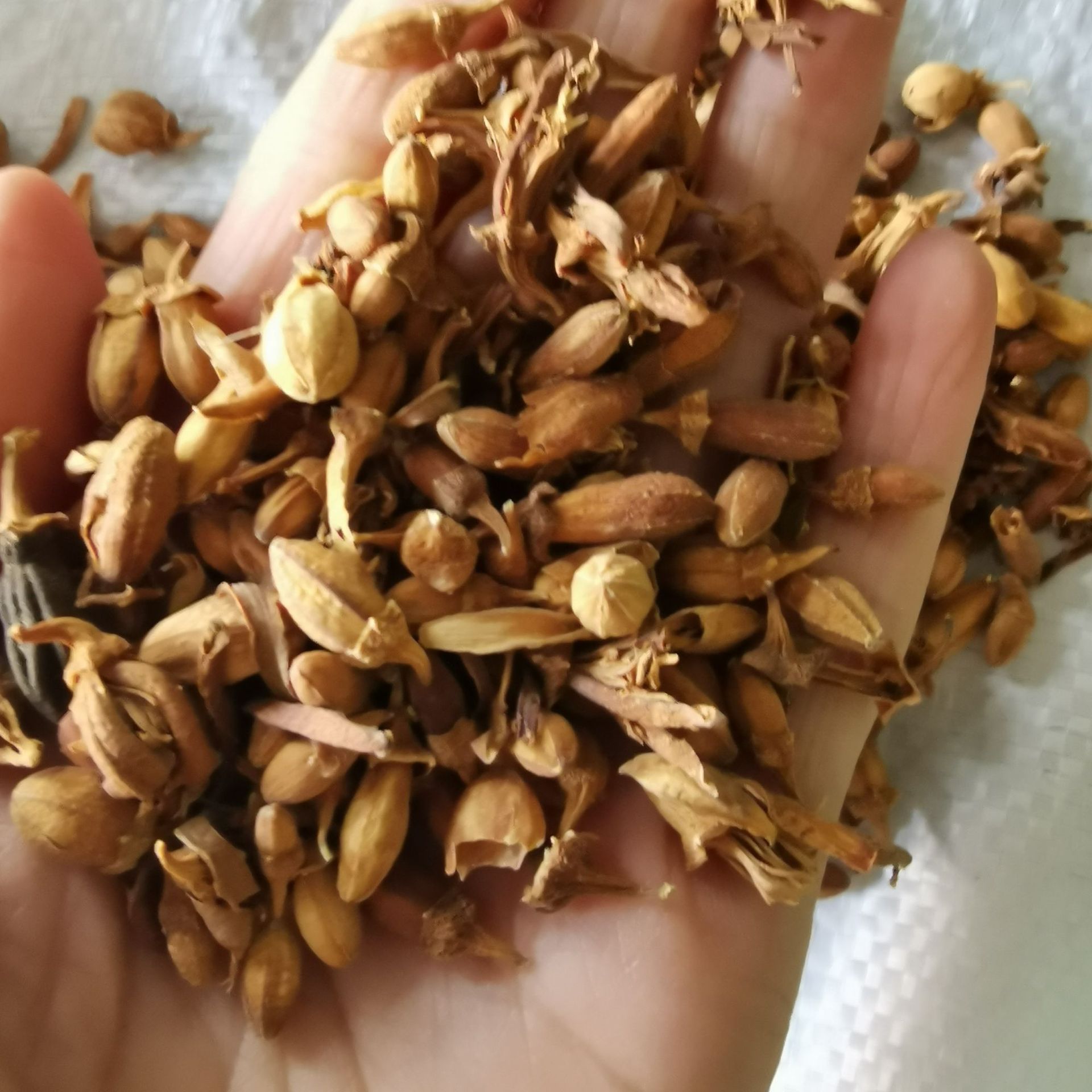 中药材 佛手花 川佛手花 低温烘焙 量大从优 新货 可打粉