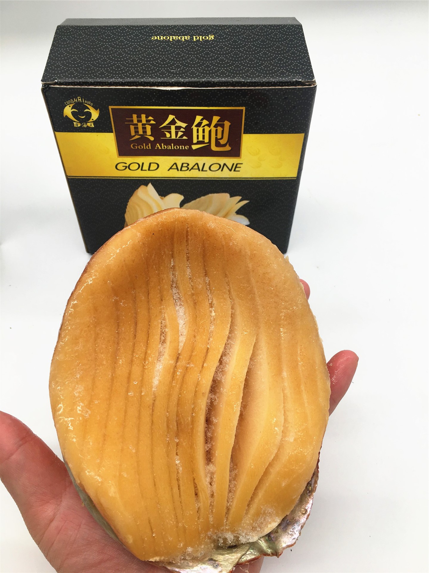 进口海鲜冷冻品黄金鲍贝鲍螺澳鲍刺身高档宴席食材小包装海鲜礼包