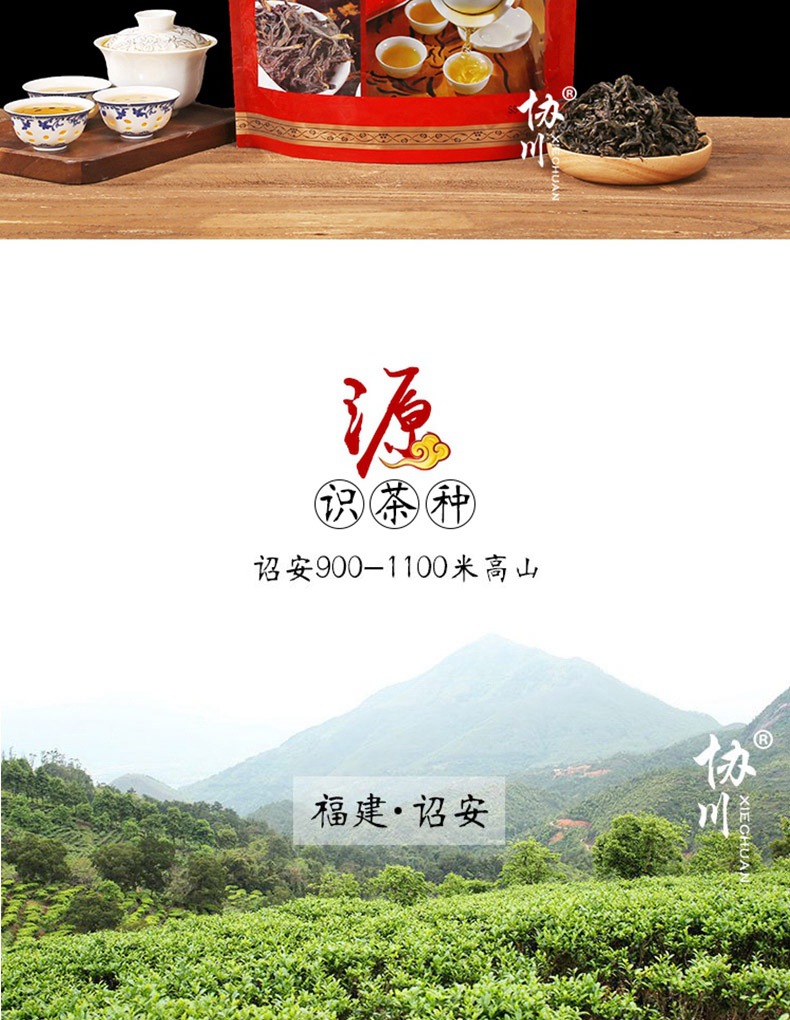 新茶诏安八仙茶土山茶500g雪片惠来潮汕黄旦茶叶浓香型散装高山茶