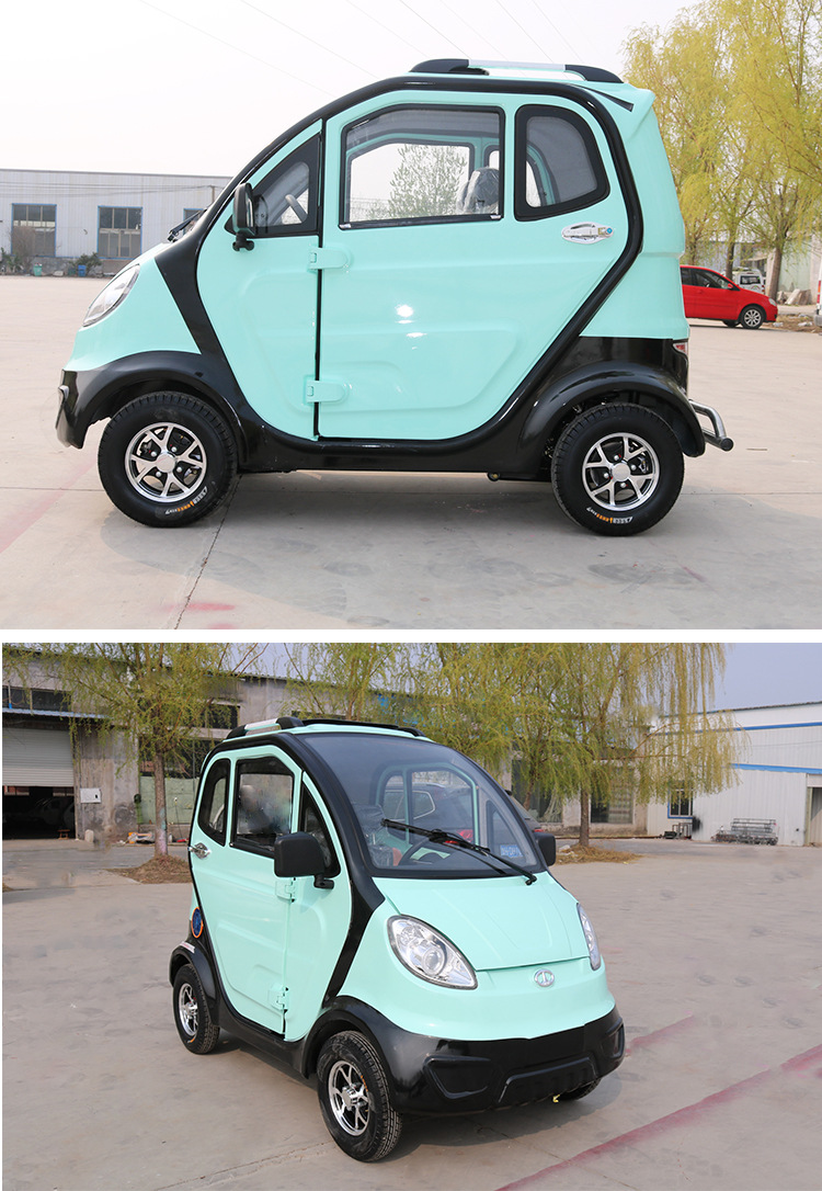 新能源电动汽车油电两用车迷你轿车电瓶车家用女性