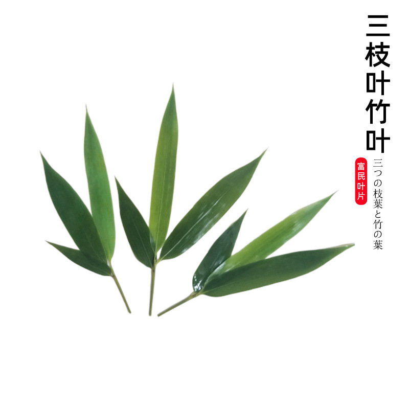 酒店装饰摆盘竹叶日料寿司刺身烧烤料理100片三枝叶厂家直销