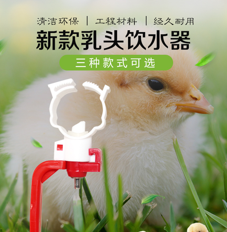 乳头饮水器_鸡自动饮水器乳头饮水器养鸡饮水器养鸡 - 阿里巴巴