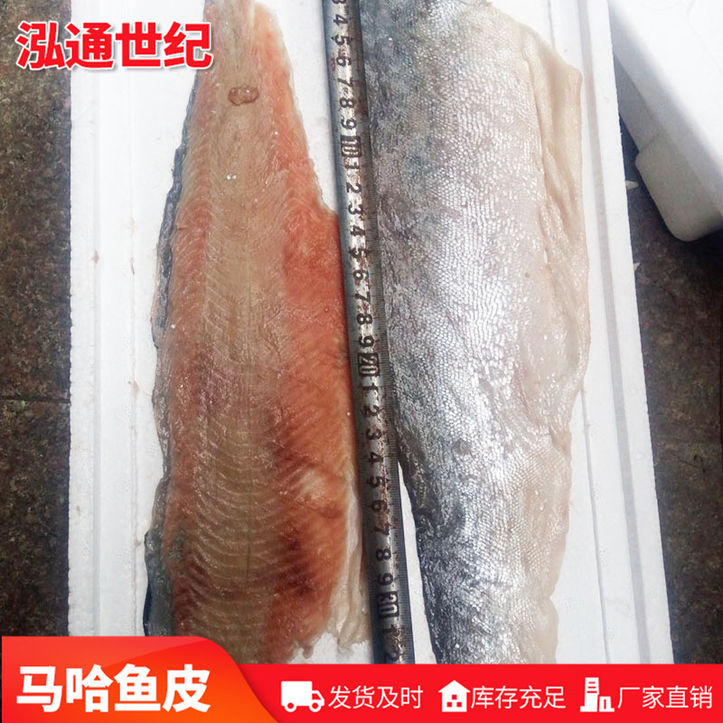 马哈鱼糜 加工马哈鱼皮 厂家供应冷冻水产三文鱼皮