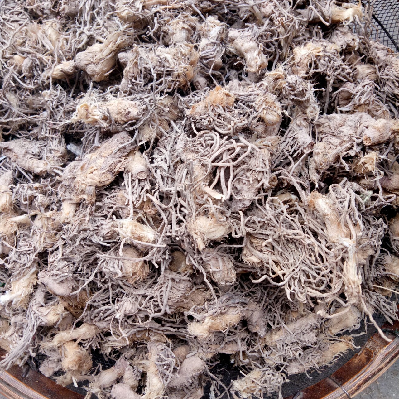 干韭菜根起阳草起阳草根韭根韭黄韭菜根干货生晒中药材新货韭菜根