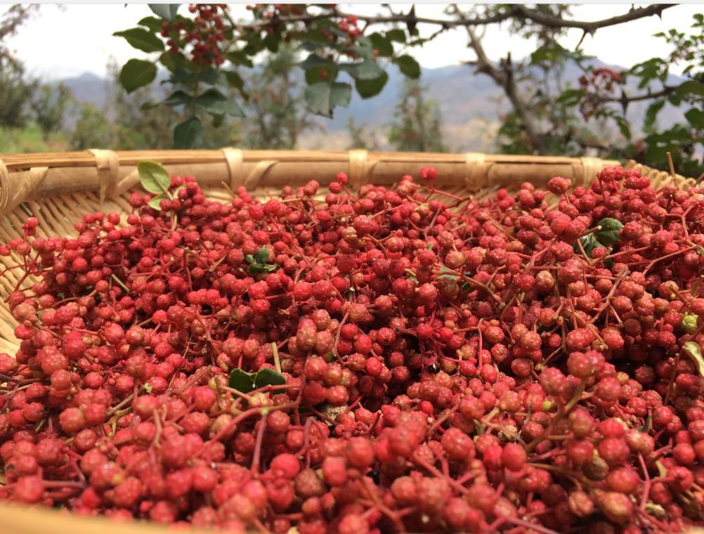 大红袍花椒_武都花椒麻椒武都大红袍花椒 陇盛源罐装产地直发100g/瓶