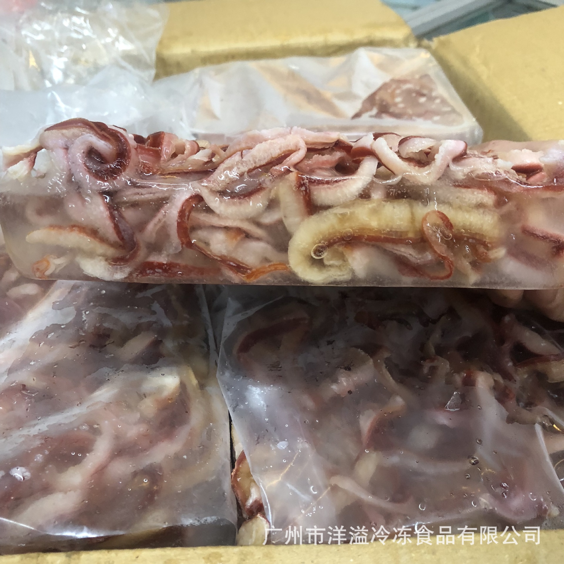 北极贝裙边 冷冻 红珊蚌 北极贝群边 小炒 火锅 广州批发