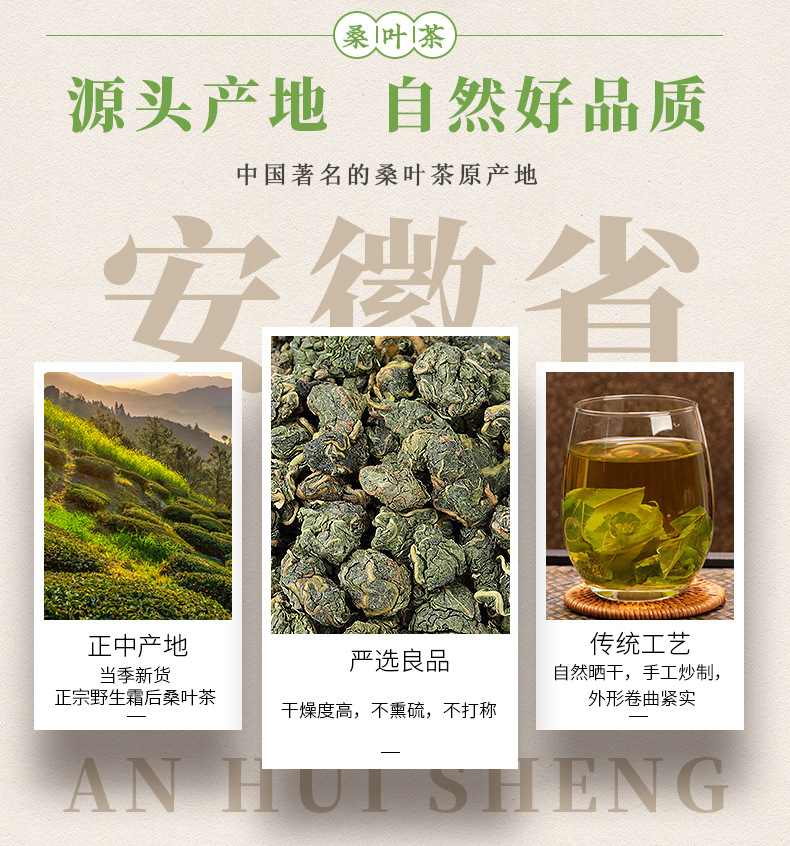福东海 桑叶茶 桑叶桑叶茶原料新鲜桑叶干树叶泡水喝桑叶花茶