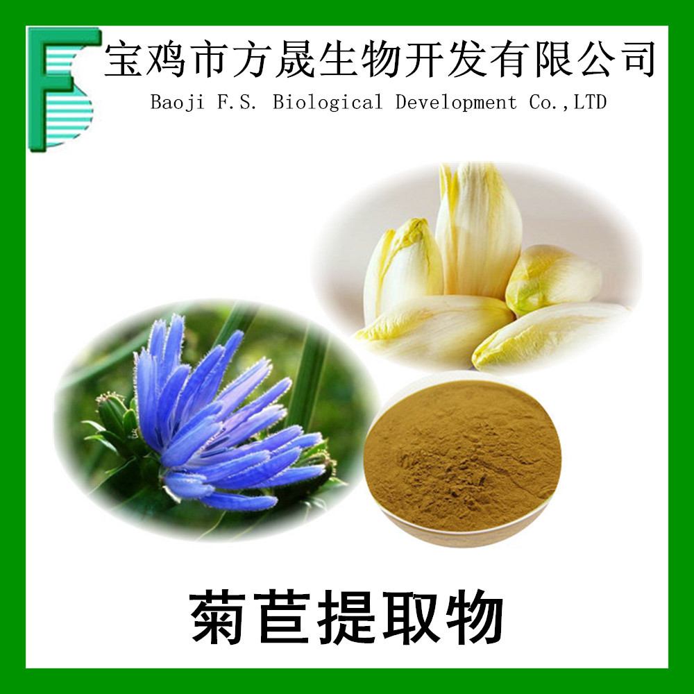 菊苣提取物101菊苣粉菊苣根提取原料chicoryextract全水溶性