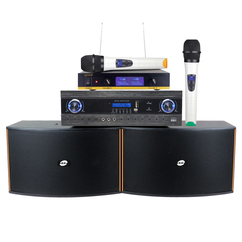 佰声10寸 家庭ktv音响套装专业会大型议酒吧卡包音箱功放话筒设备