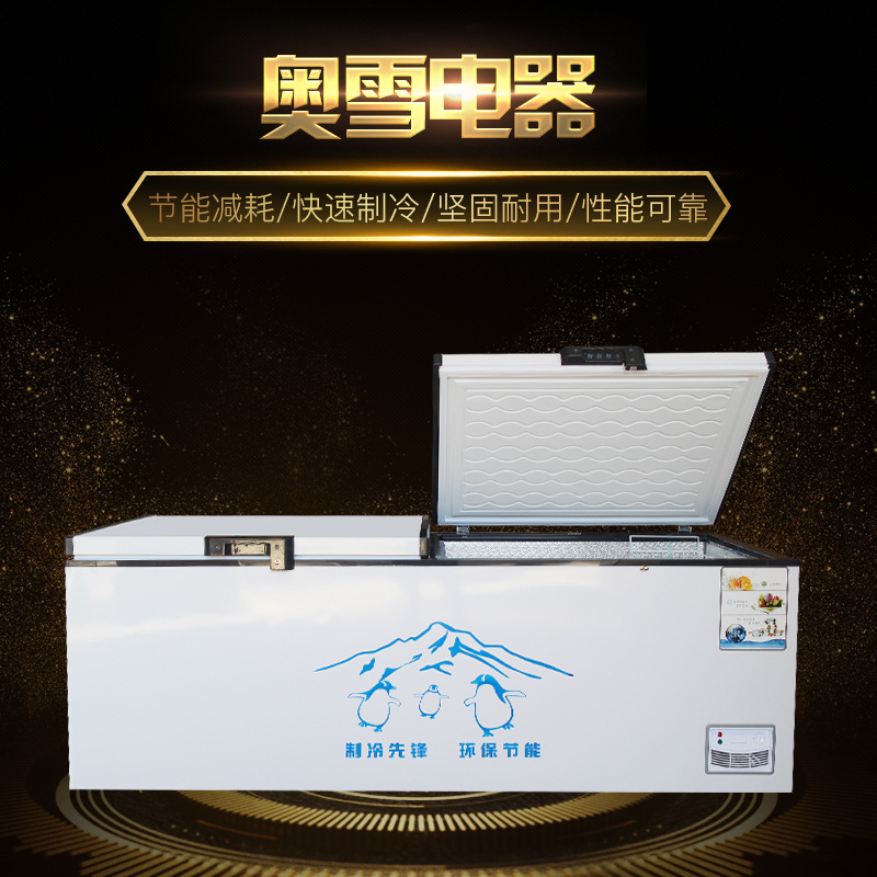 青岛奥雪厂家批发墨香雪冰柜商用大容量冷冻冷藏超大卧式铜管速冻