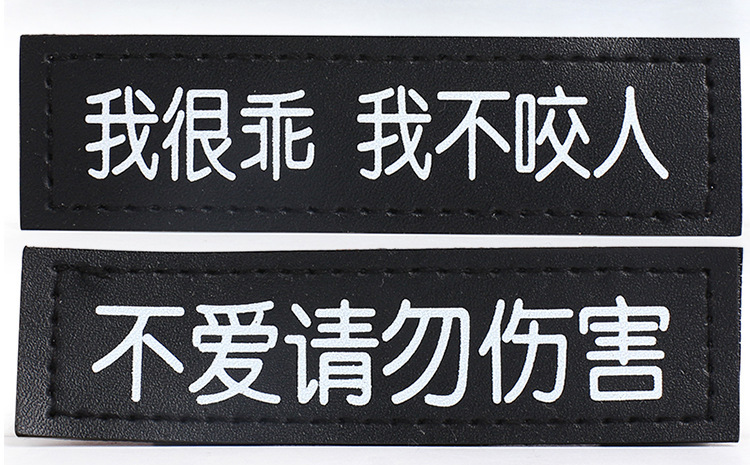 狗胸背带个性定制魔术字帖大中小型狗帖防爆冲狗狗牵引绳宠物用品
