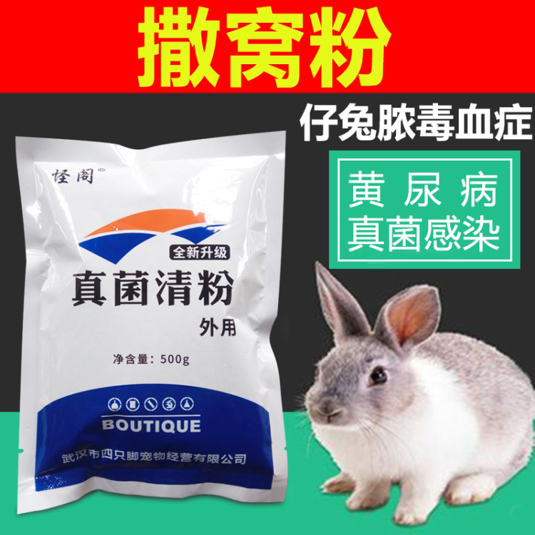 兔子真菌感染螨虫兔皮肤病撒窝粉兔用兔药兔子药黄尿病真菌粉皮癣