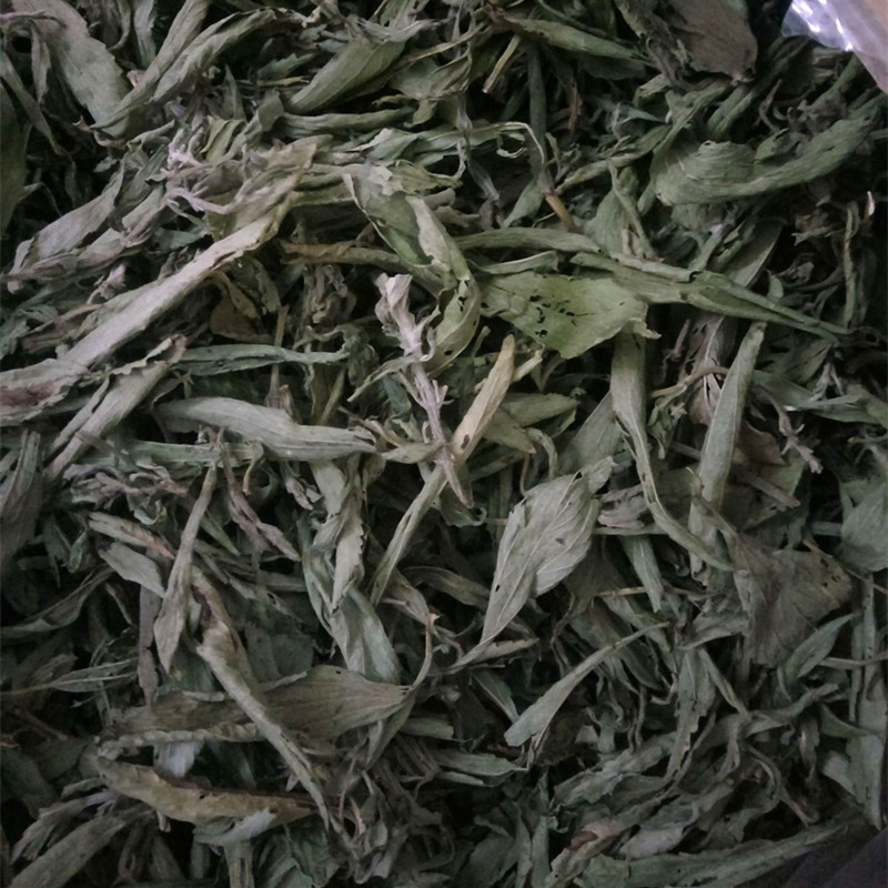 批发供应中药材甜菊叶甜叶菊干叶甜叶菊茶山密草茶花草茶批发
