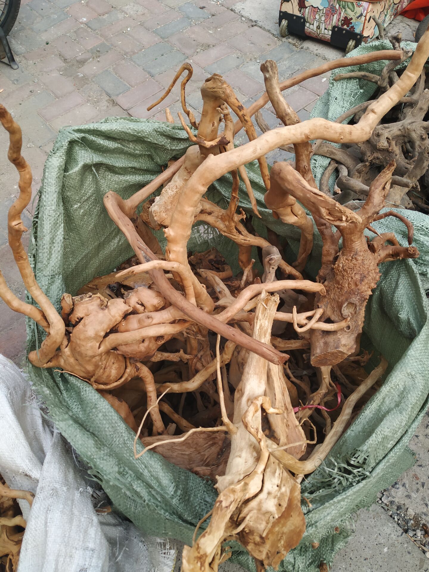 杜鹃根造景精品沉木树根鱼缸雨林缸装饰木宠物摆件水草莫斯树