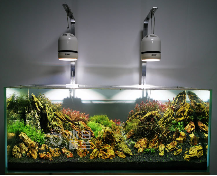 尼特利50wled全光谱水草灯泥特力筒灯泥特利支架灯架方灯神灯at1