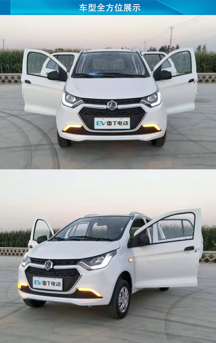 雷丁d70电动汽车老年人代步四轮车油电混合电动汽车新能源全封闭
