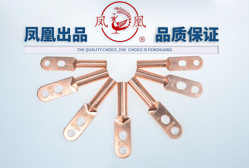 双孔铜鼻子纯铜加长线耳两安装孔m6/8/10/12孔距20/25/32/40/45mm