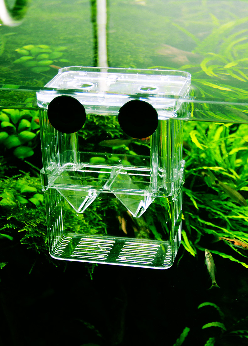 鱼缸隔离盒孔雀鱼孵化盒热带鱼小鱼幼鱼孵化盒特大号大号小号独立