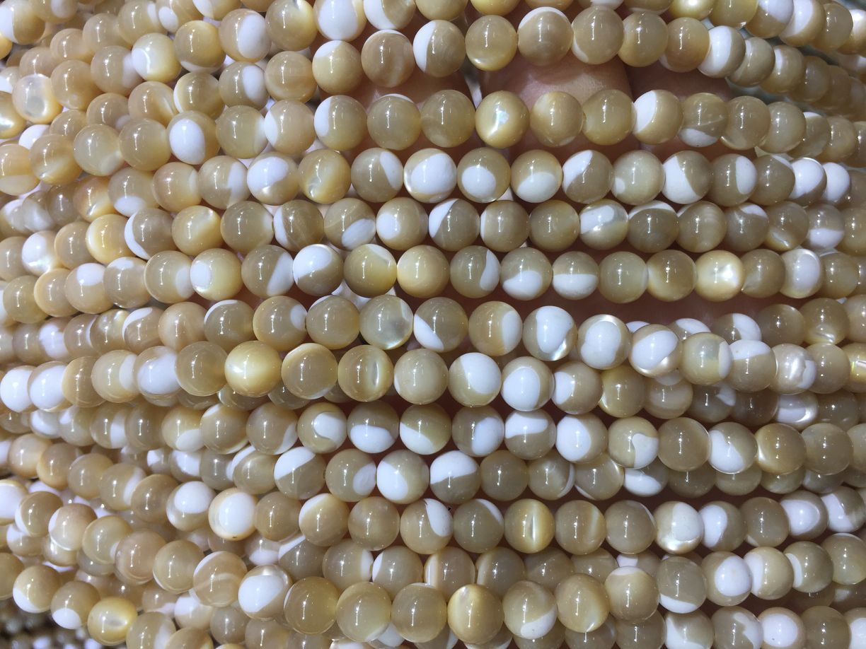顺珠 天然贝壳石热销天然棕色马蹄螺 散珠 圆珠饰品配件 厂家现货-阿