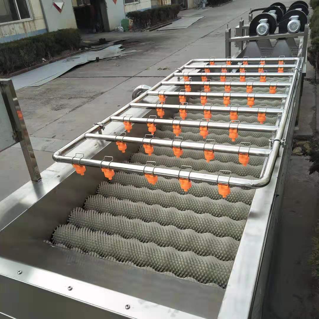 厂家土豆清洗机 优质毛刷红薯清洗机大产量土豆去皮机