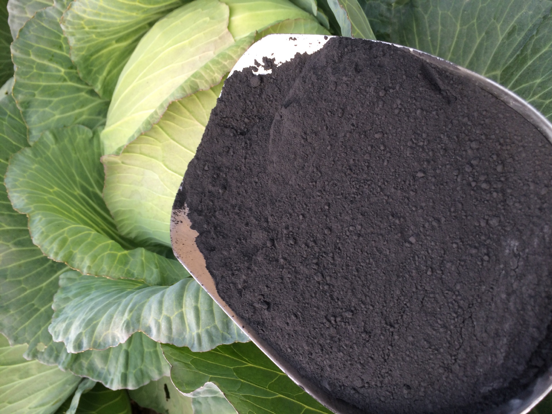 富硒矿石se0.02-3% 325富硒矿粉 800硒矿 2000硒矿粉 18972798180