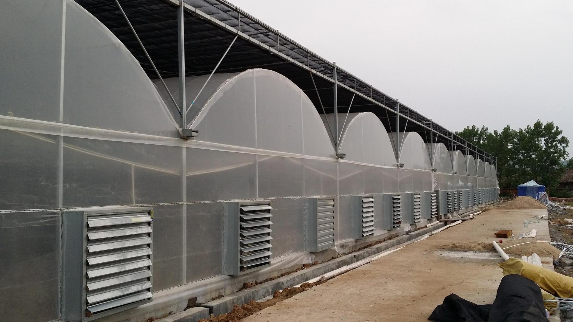 广西柳州 连栋双拱双膜温室 蔬菜花卉双拱双膜温室大棚 泉瑞直销