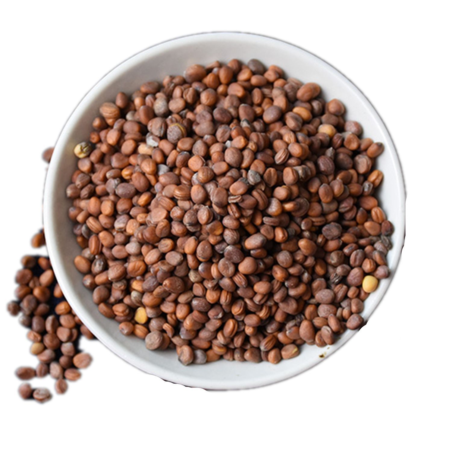 中药材 莱菔子 炒莱菔子 萝卜籽 白萝卜紫 莱菔籽 萝白子