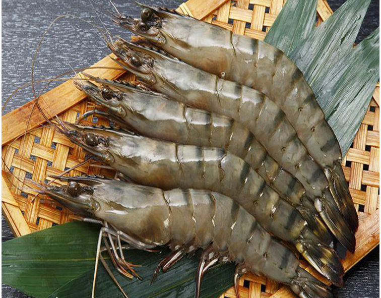 越南黑虎虾老虎大对虾明虾斑节虾海鲜草虾海虾特价500克16/盒