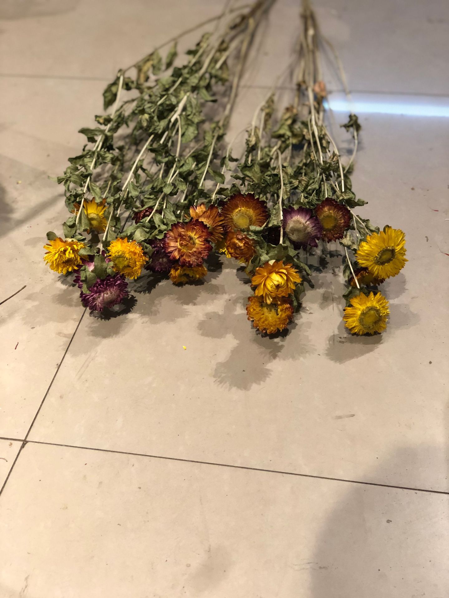 【麦秆菊】干花麦干菊干花菠萝菊小雏菊小菊花干花七彩菊太阳花