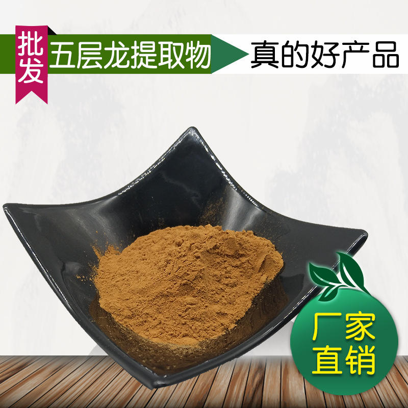 五层龙提取物 30:1含量五层龙植物提取物 高比例提取五层龙粉