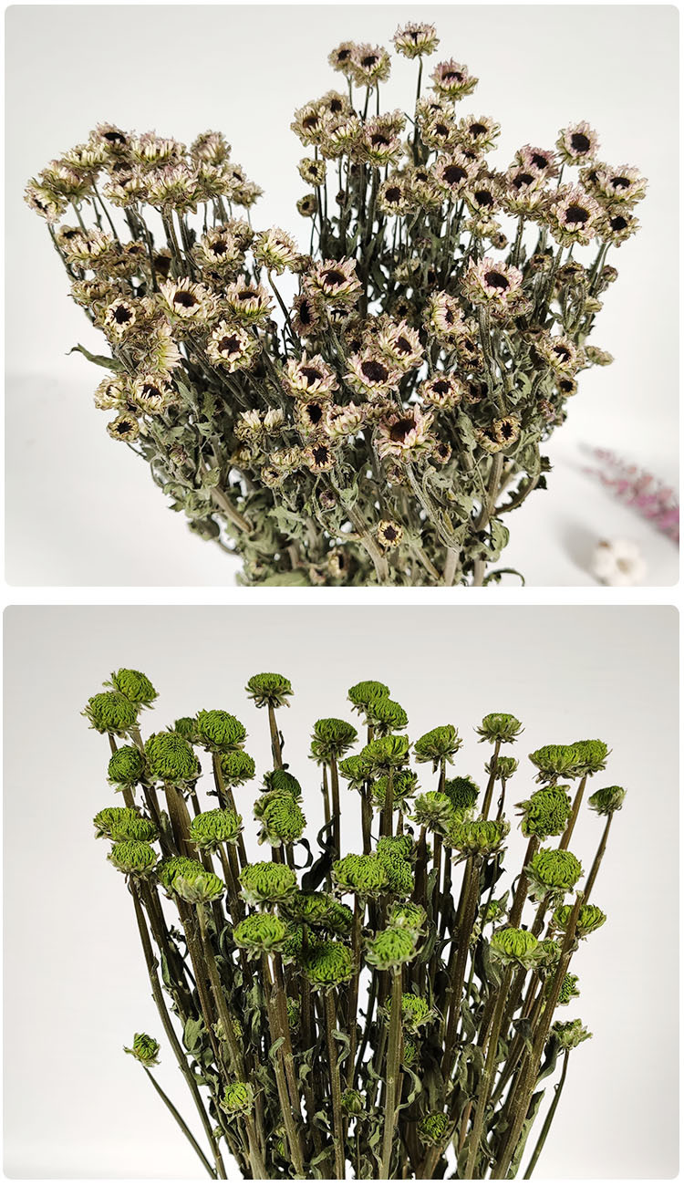 云南干花花束小雏菊翠菊天然风干花束真花乾燥花批发居家装饰摆件