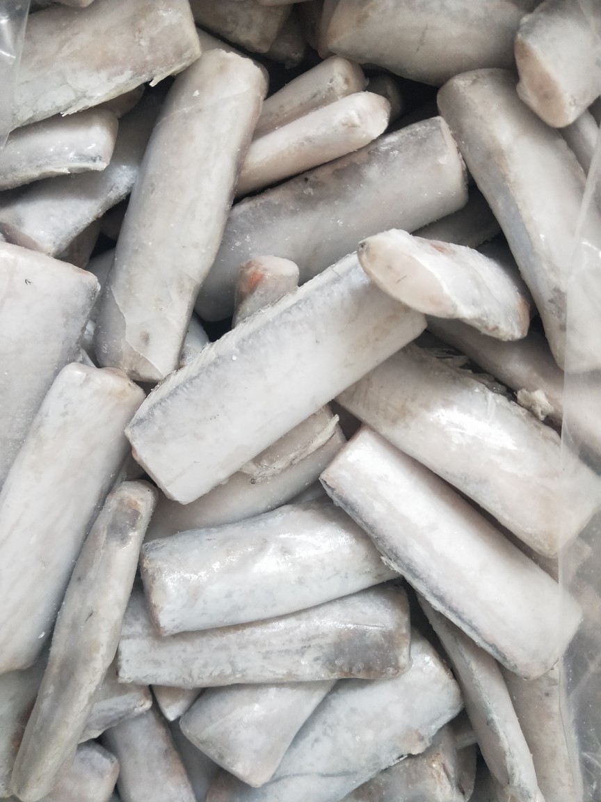 批发供应冷冻带鱼段19年新货舟山带鱼中段食堂快餐专供