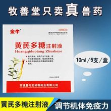 【兽药黄芪多糖注射液】猪牛羊抗病毒鸡法氏囊犬提高免疫力 5支装
