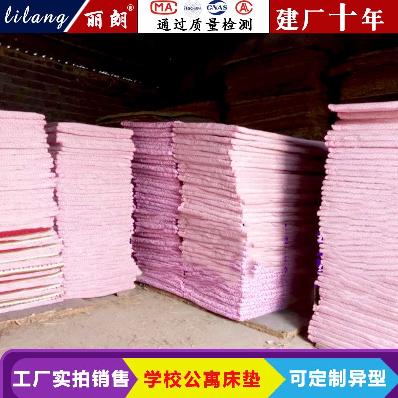 厂家直销学生单身公寓专用防滑加厚榻榻米床垫 稻草床垫 蒲草床垫