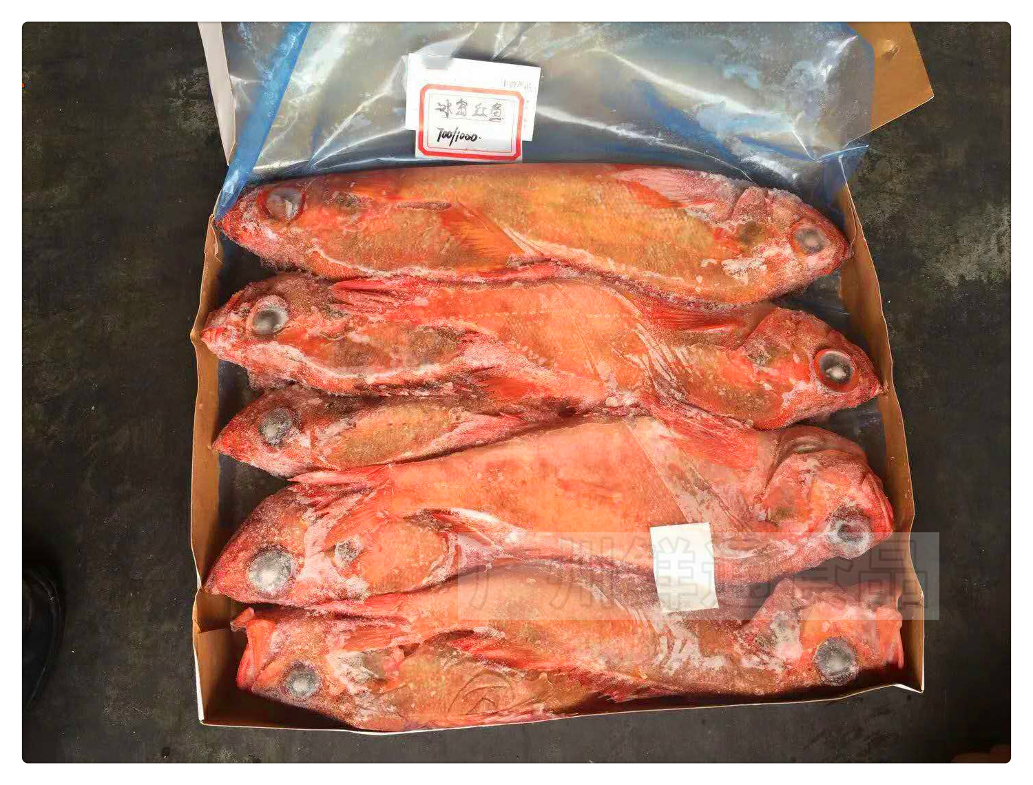 【冰岛红鱼】20kg/箱 挪威橙鲷大眼鱼红鲷鱼酒楼中餐自助餐宴席