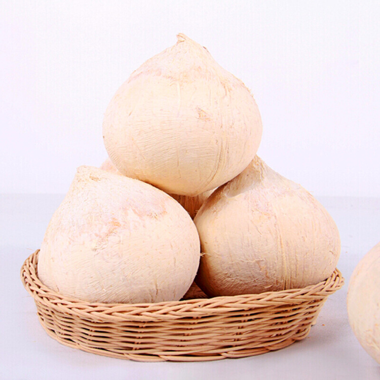 泰国椰皇9个装椰王新鲜水果香甜多汁老椰子奶香去皮椰青 代发包邮