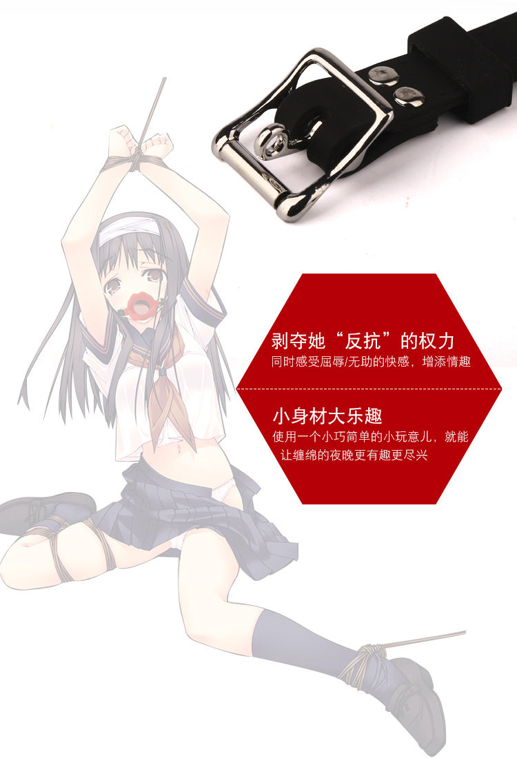 销售地区非洲,欧洲,南美,东南亚,北美,东北亚,中东主要下游平台ebay