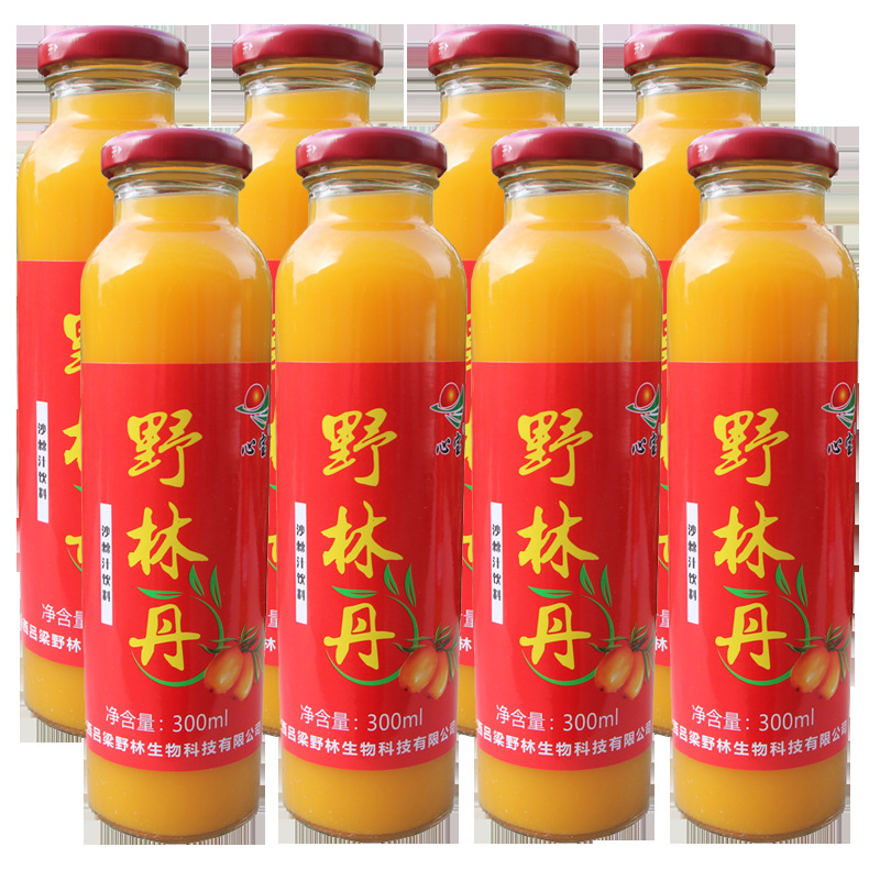 山西吕梁沙棘汁饮料 野林丹沙棘汁果汁饮料300mlx8瓶