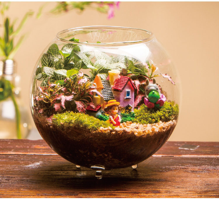 玻璃苔藓小瓶 微景观生态瓶 创意礼品礼物植物世界温馨小屋批发