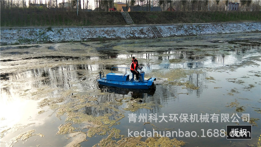 简易小型捞草船 湖面水草芦苇收割设备 全自动割草船