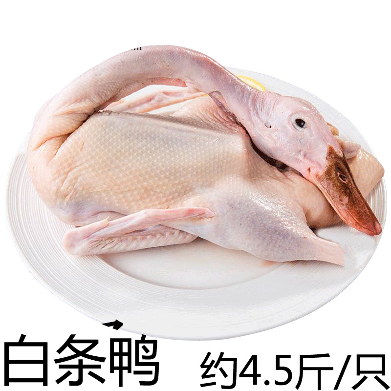 冷冻白条鸭 冰冻整鸭子 樱桃谷烤鸭啤酒鸭炒鸭 一箱6只 27斤/件