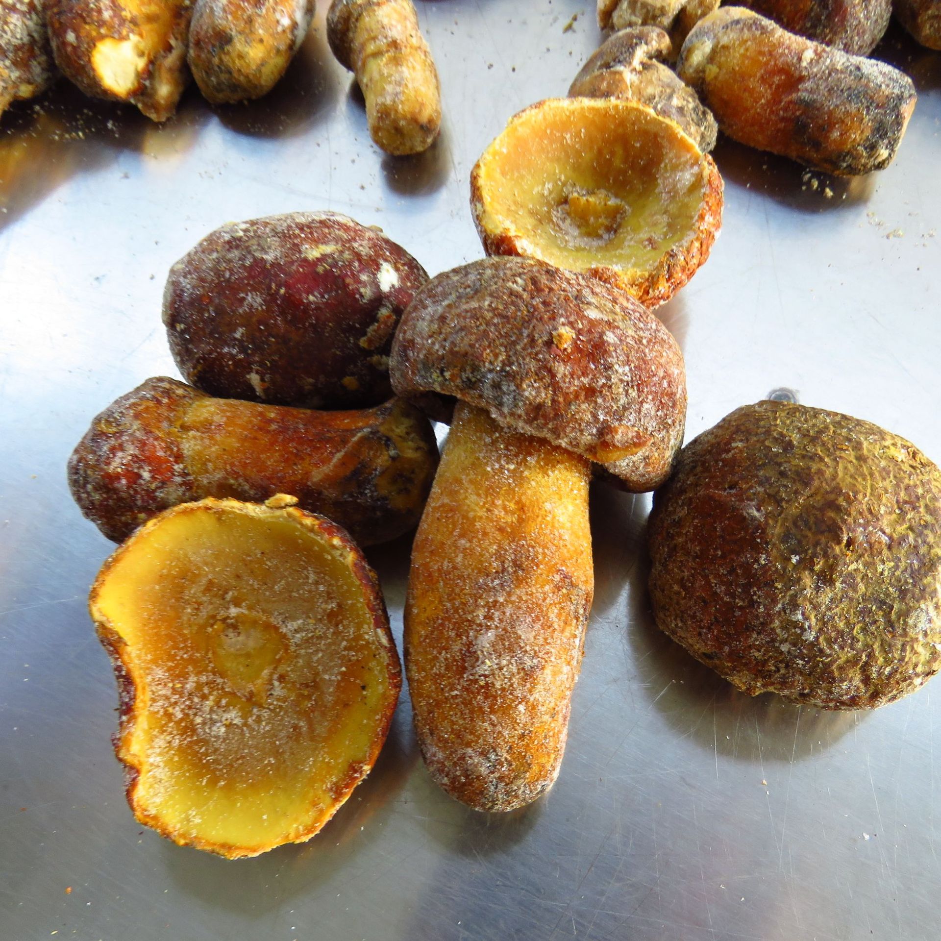 速冻 黄牛肝 野生黄赖头冻货 批发 牛肝菌 冷冻狮子头蘑菇