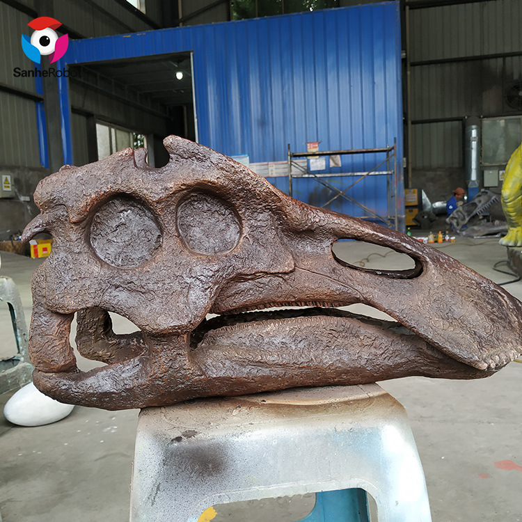 仿真恐龙化石定制 慈母龙头部化石 自贡仿真模型制作工厂
