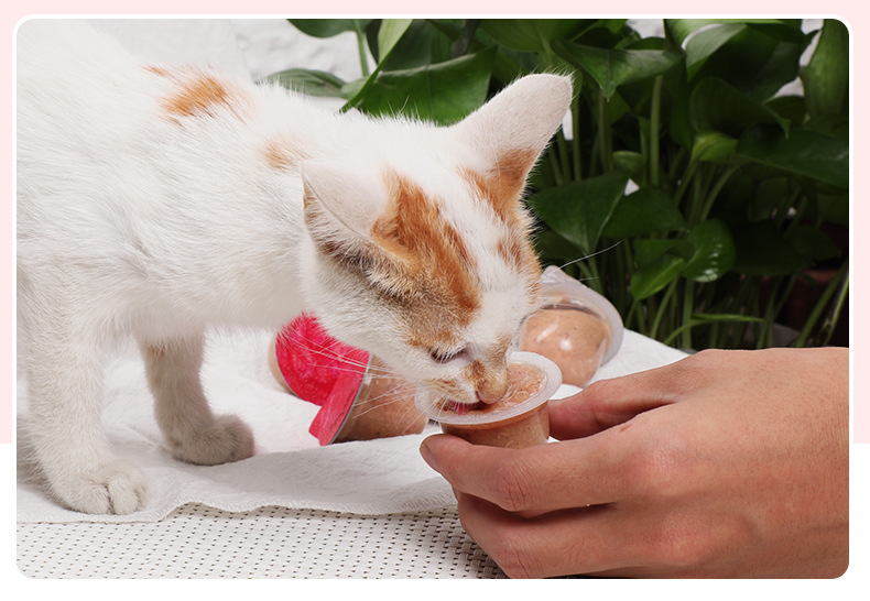 华畜8个装布丁猫零食幼猫孕猫猫咪果冻补钙小猫吃的营养食品猫糖