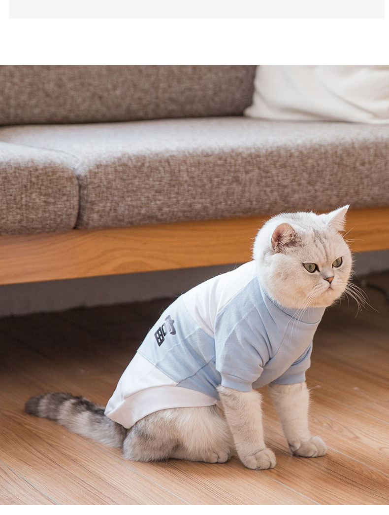 猫咪衣服宠物春夏季装搞怪可爱网红小猫猫衣服防掉毛薄款t恤服饰×3件