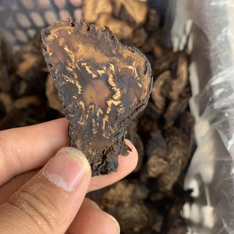 内蒙古产地货源整根秋季肉苁蓉干切片泡酒泡茶熬汤精选油苁蓉切片