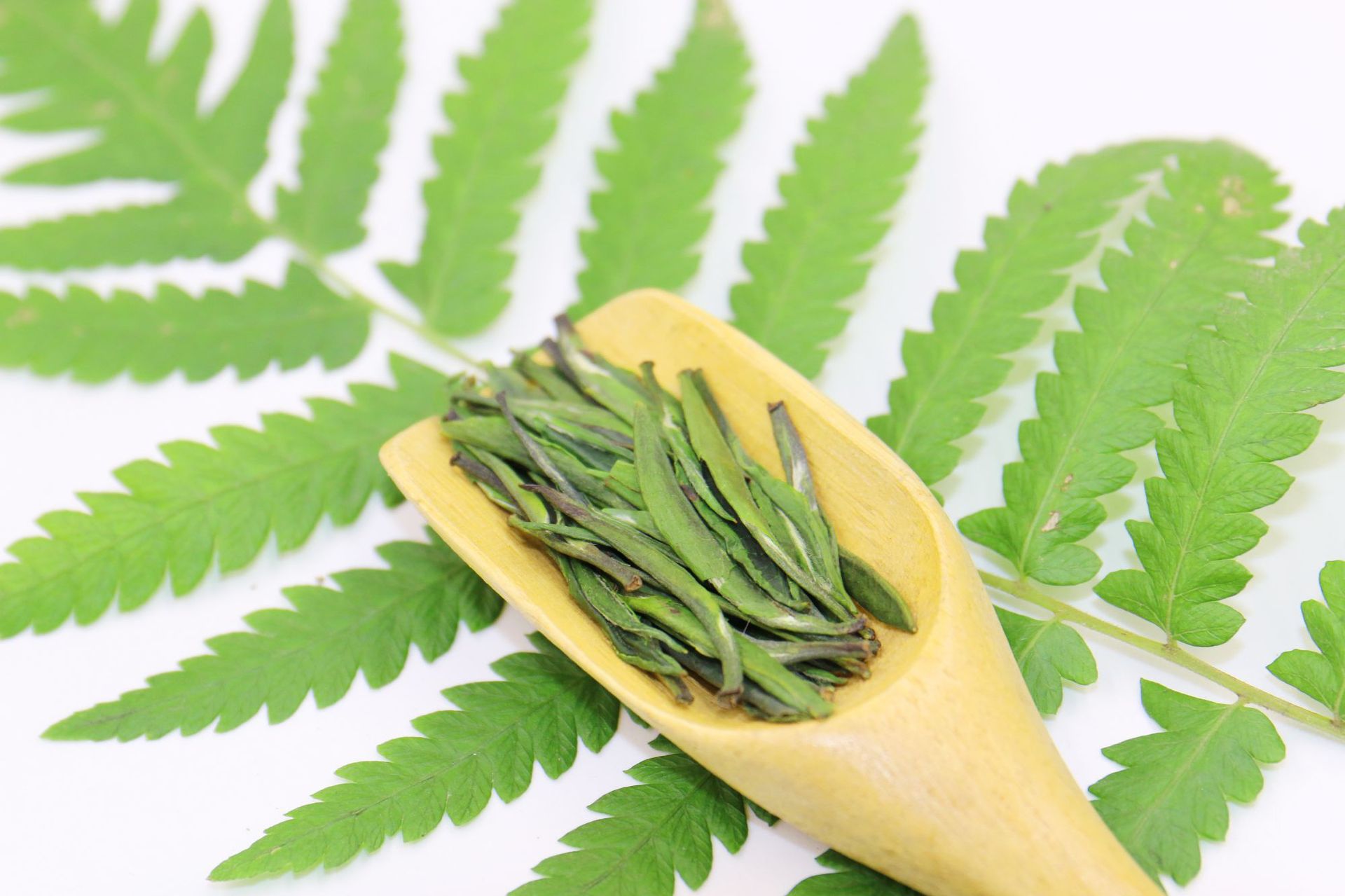 散装称重新茶峨眉山云雾绿茶单芽雨前高山竹叶茶青针浓香嫩芽雀舌